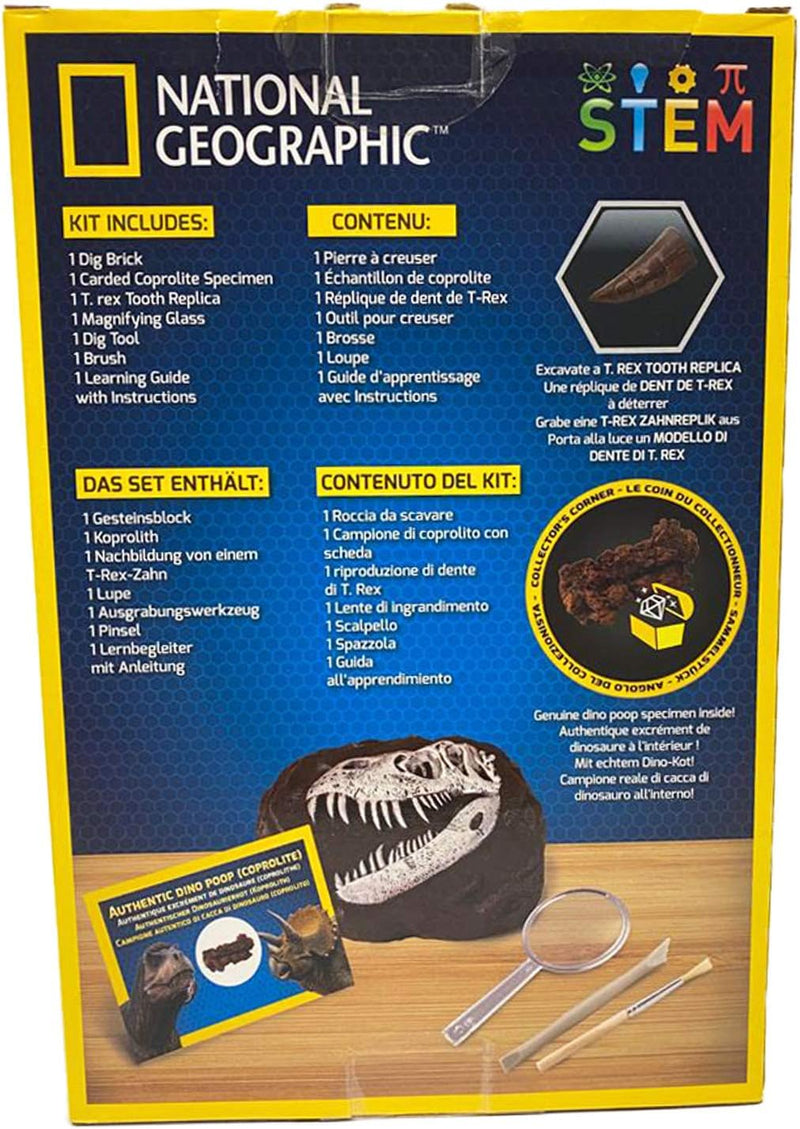 National Geographic Dinosaur Dig Kit, in display