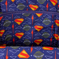 Loungefly - DC Superman Full Size Backpack back view