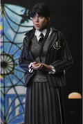 Wednesday and Enid Nevermore Uniform 8" Clothed Action Figure 2-Pack packaging view