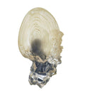 Harry Potter: The Crystal Goblet from The Cave by The Noble Collection, close-up detail