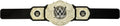 WWE New Gold Heavyweight Title Belt - Image 3