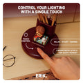 Sonic the Hedgehog Desk Lamp