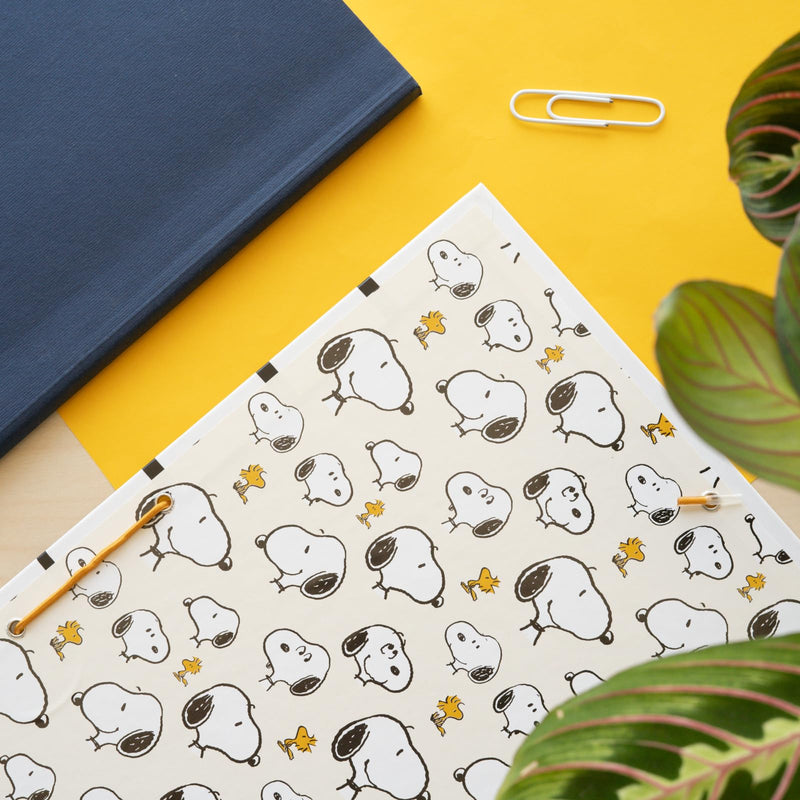 Snoopy Lazy Days File Folder packaging view