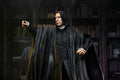 Severus Snape Harry Potter Legacy Collection 7" Scale Action Figure (view 2)
