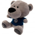 Chelsea FC Timmy Bear, alternate view