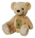 Eco Nation Teddy Bear - Image