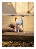 Schleich - Marwari Foal - Image