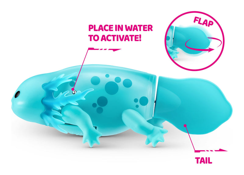 Pets Alive Robo Axolotls, in display