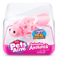Pets Alive Robo Axolotls, size reference