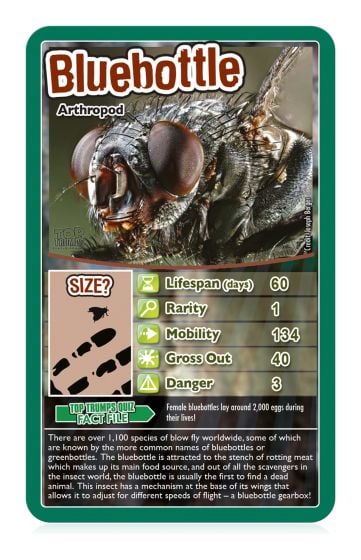 Bugs Top Trumps Card Game