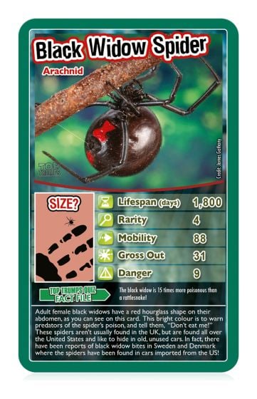 Bugs Top Trumps Card Game, product detail