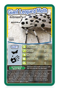 Bugs Top Trumps Card Game