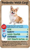 Dogs Top Trumps Card Game, showing reverse