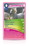 Horses, Ponies & Unicorns Top Trumps Card Game, product detail