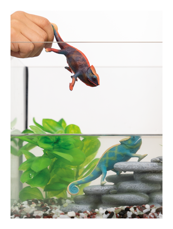 Schleich - Chameleon - Image