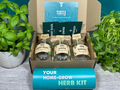 Grow Your Own Herbs Gift Set, in display