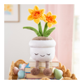 Greenhouse - 12" Daffodil