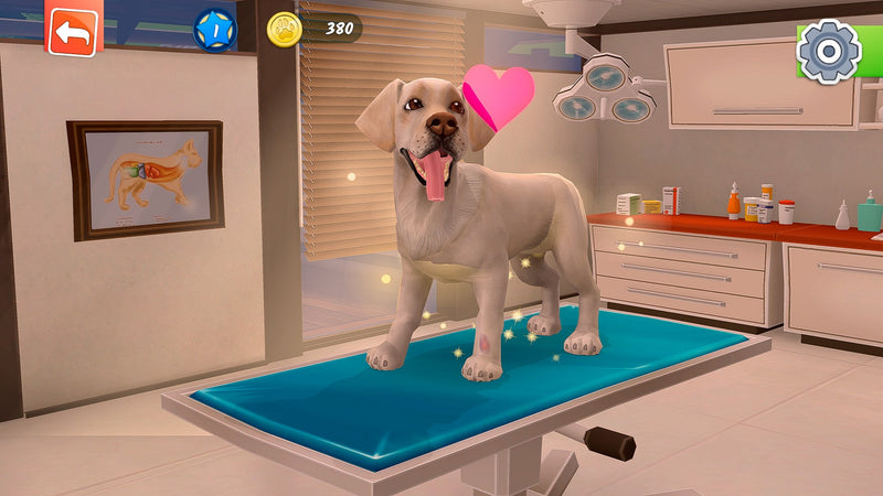Animal Hospital - PlayStation 5