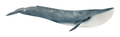 Schleich Blue Whale