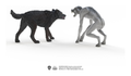 Schleich - Werewolf VS Animagus - Image