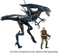 Alien Queen Aliens Ultra Deluxe Boxed Action Figure (view 4)