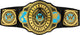 WWE Intercontinental Championship Title Belt