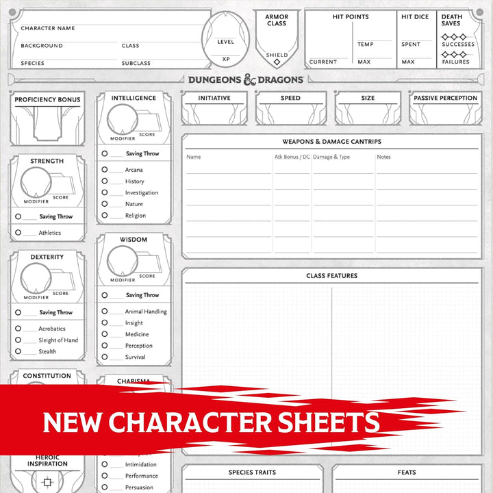 Dungeons & Dragons 2024 Character Sheets