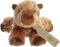 Capybara Eco Nation Eco Softies 8 Inch Plush alternate view