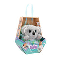 Baby Paws - Koala