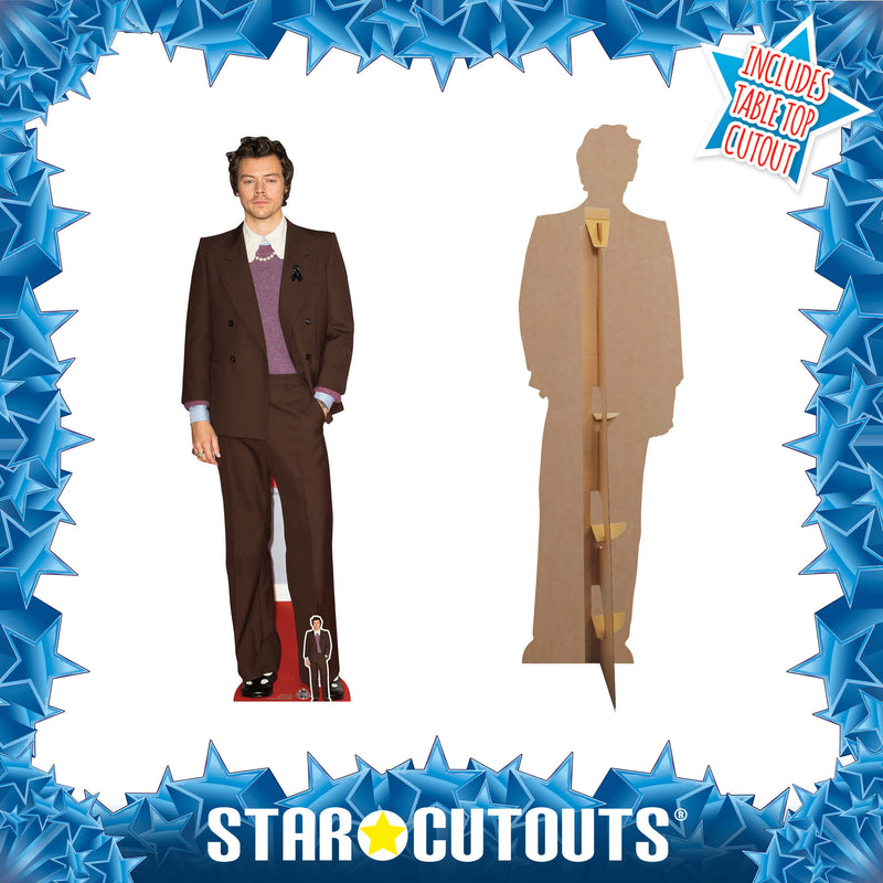 Harry Styles Height 183cm Lifesize Cardboard Cut Out With Mini, close-up detail