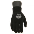 Everton FC Knitted Gloves Junior, alternate view