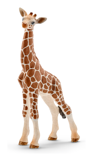 Schleich Giraffe Calf