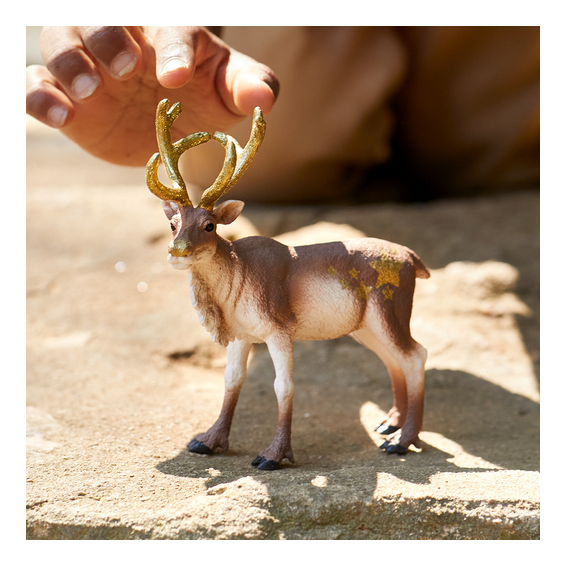 Schleich - Reindeer - Image