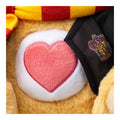Care Bears 30cm Plush - Harry Potter 2 Pack