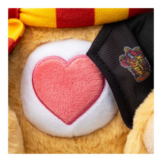 Care Bears 30cm Plush - Harry Potter 2 Pack
