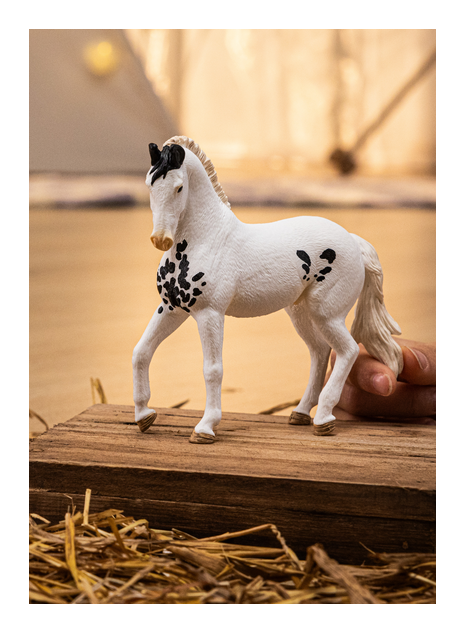 Schleich - Marwari Stallion - Image