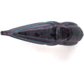 Void Night Aliens Ship Model Die Cast (Eaglemoss / Star Trek) Star Trek, close-up detail
