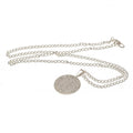 Chelsea FC Silver Plated Pendant & Chain XL, alternate view