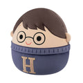 Squishmallows - 10in Harry Potter in Sweater