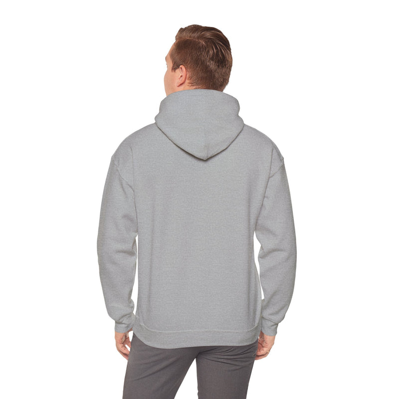 'Life Sounds Better on Vinyl' Men's Hoodie, size reference