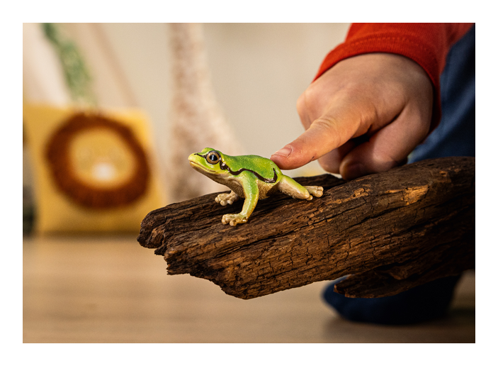 Schleich - European Tree Frog - Image