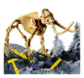I'm A Genius Mammoth Super Kit, alternate view