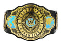 WWE Championship Title, Intercontinental Champion Belt - Image