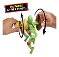 Tales of TMNT Pet to Ninja - Raphael - Image