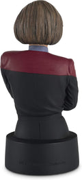 Captain Janeway Model Die Cast Bust Figure (Eaglemoss Star Trek The Official Busts Collection), side angle