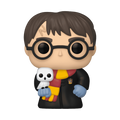 Pop! PVC Pins - Harry Potter 12pc PDQ