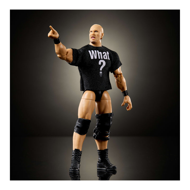 WWE Ultimate Edition Figure 1