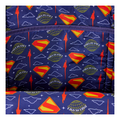 Loungefly - DC Superman Full Sized Backpack - Image