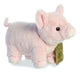 Eco Nation Pig 9.5"