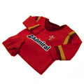 Wales RU Sleepsuit 12/18 mths, alternate view